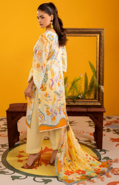 Kashish-K05